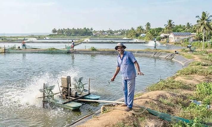 Govt extends Rs 1.50 power tariff to all eligible aqua farms
