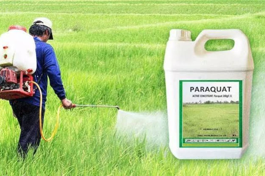 Centre’s Ban on Paraquat a Landmark Step for Farmers’ Health, Says Dr Gongura Venkateswarlu 