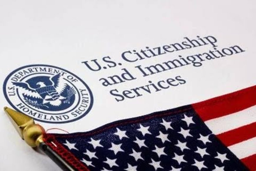 US Democrats challenge green card policy shift