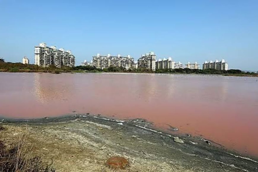 Less than 7% water stock left in Mumbai reservoirs