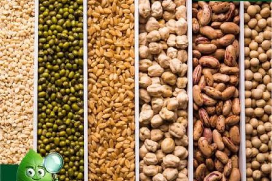 Andhra Pradesh government supplies seeds at subsidised rates to farmers