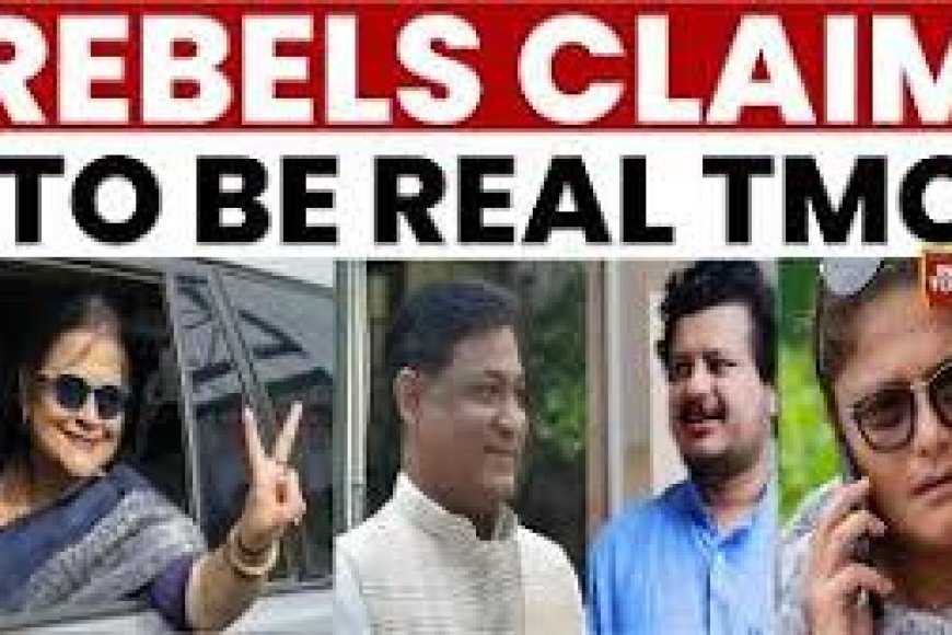 Rebel Trinamool MPs spark symbol war, claim mission to 'rectify' party