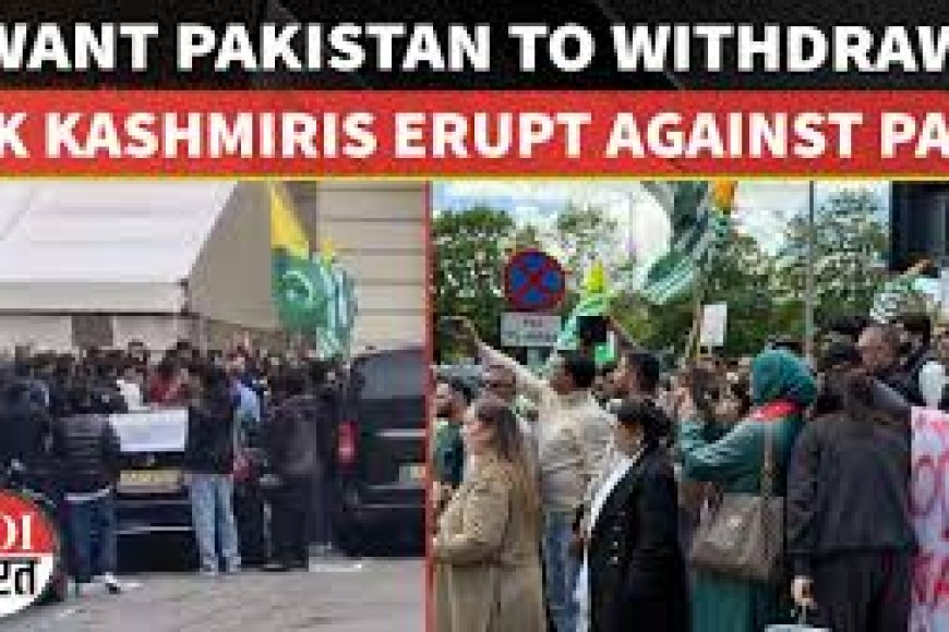 Why British Kashmiris Are Protesting Pakistani Forces In PoJK