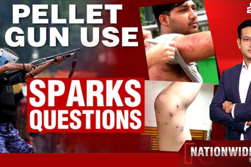 Pellet guns cannot be banned outright, specific misuse to be examined: SC