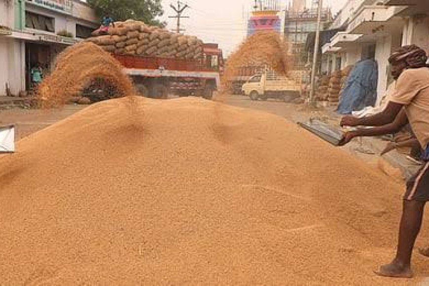 Rs 87 crore worth of paddy missing, three mill owners booked