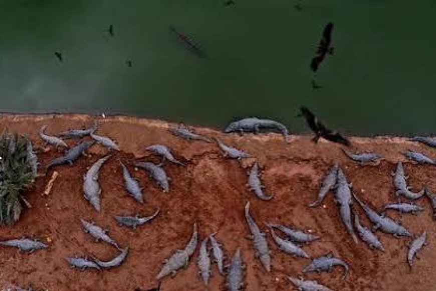 Israel digs crocodile trenches at prison holding Palestinians