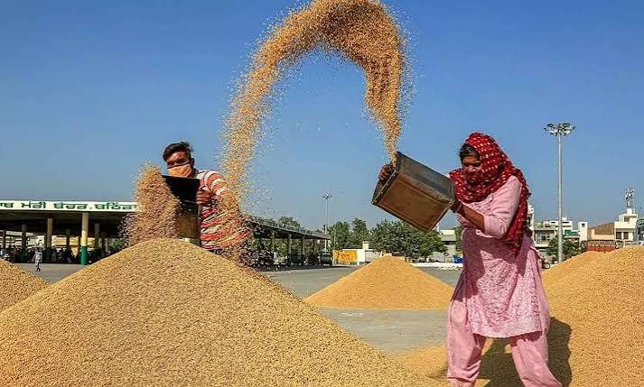 Civil Supplies Dept gears up for paddy procurement ahead of Kharif season