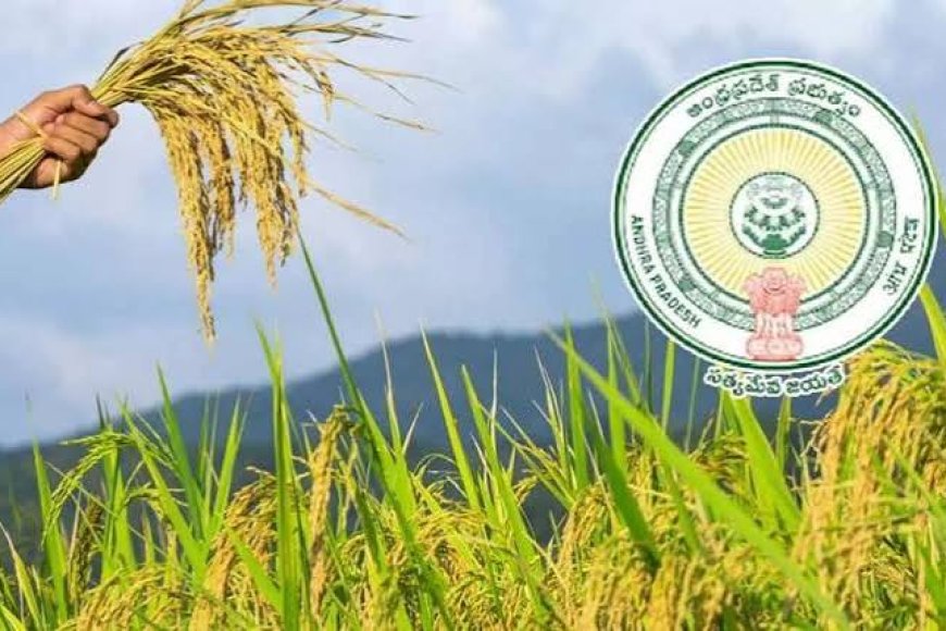 Farmers urged to avail crop insurance before July 31 