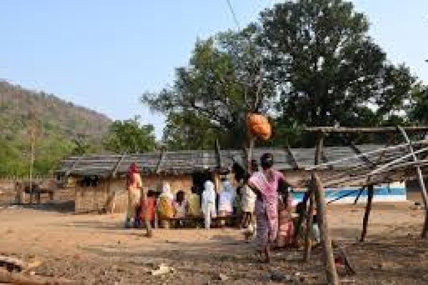 Tribal Woman Gang-Raped By Thieves In Front Of Son At Madhya Pradesh Farm 