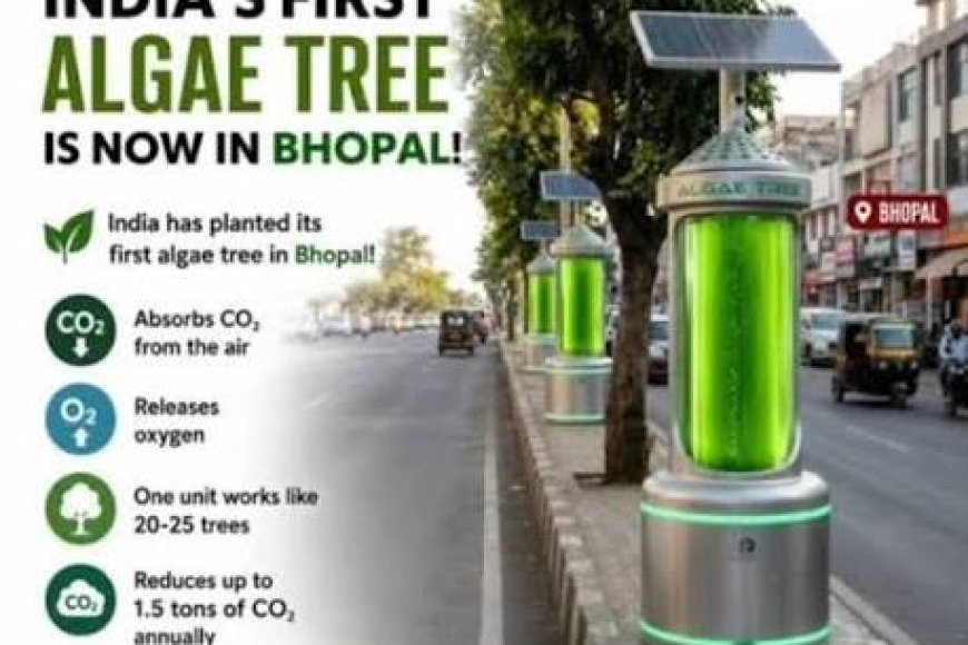 How India's Mobile Algal Tree Fights Urban Pollution