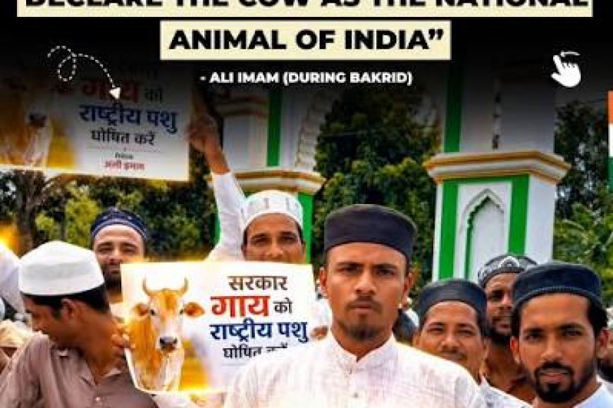 Muslim leader writes in blood to Modi to declare cow as 'Rashtra Mata'
