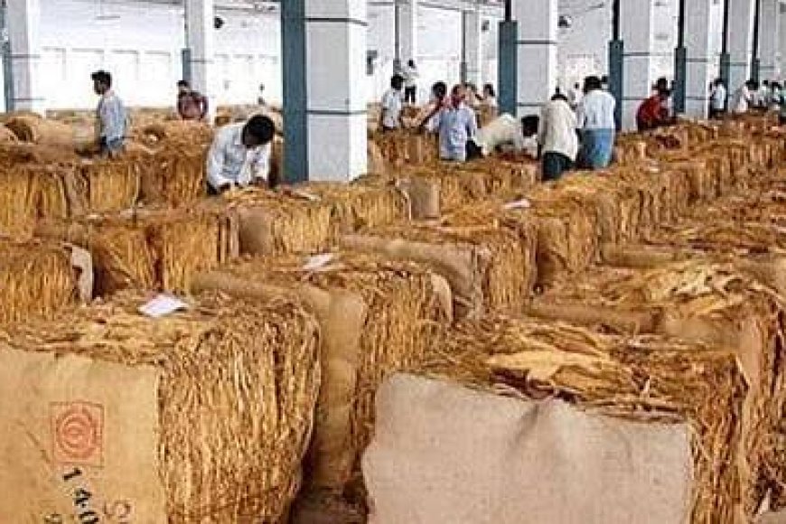 Government failed to protect interests of tobacco farmers in Andhra: YSR president Jagan