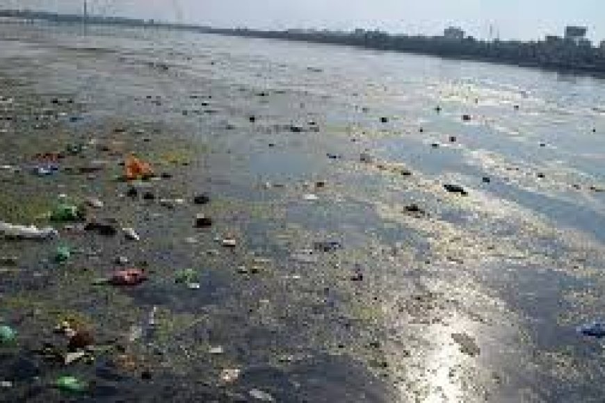 Godavari river pollution sparks health concerns in West Godavari district