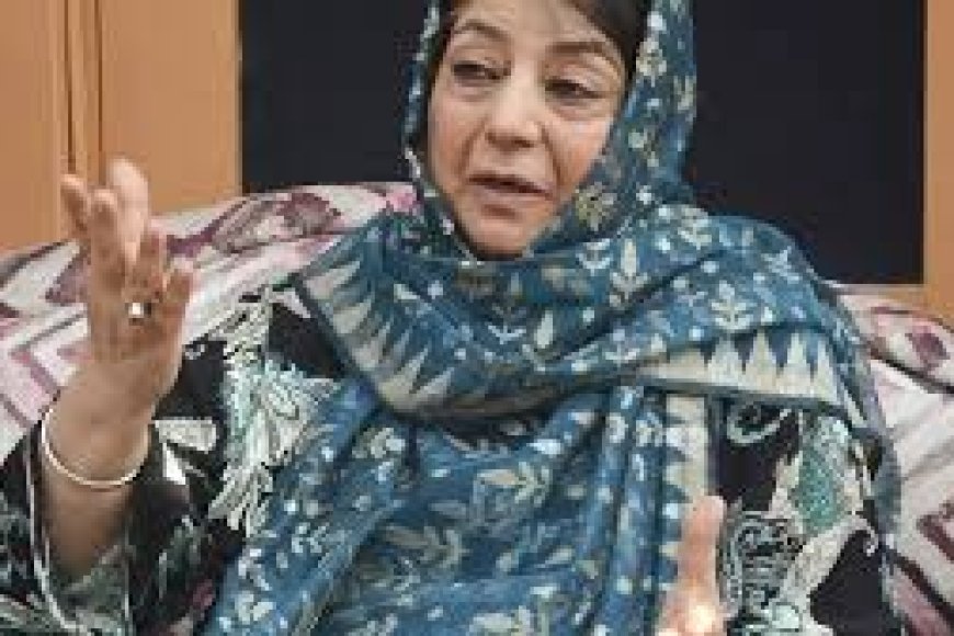 Mehbooba Mufti Party Leader Arrested For Throwing Stones At Police ,