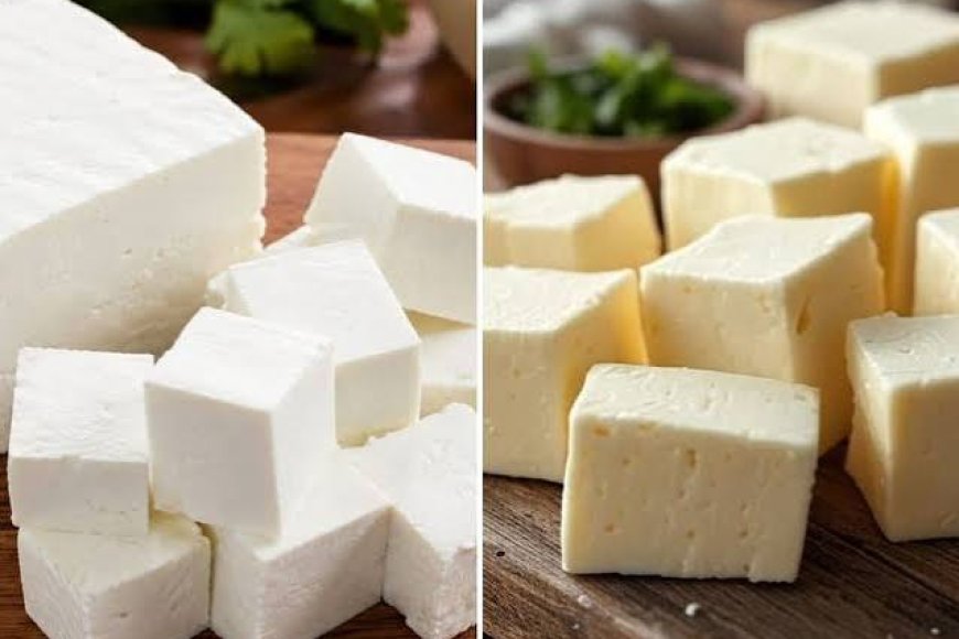 What Is Analogue Paneer? Why Has The Maharashtra Govt Banned It For A Year