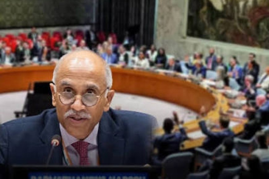 A terrorist is a terrorist': India urges united global action against terror at UN