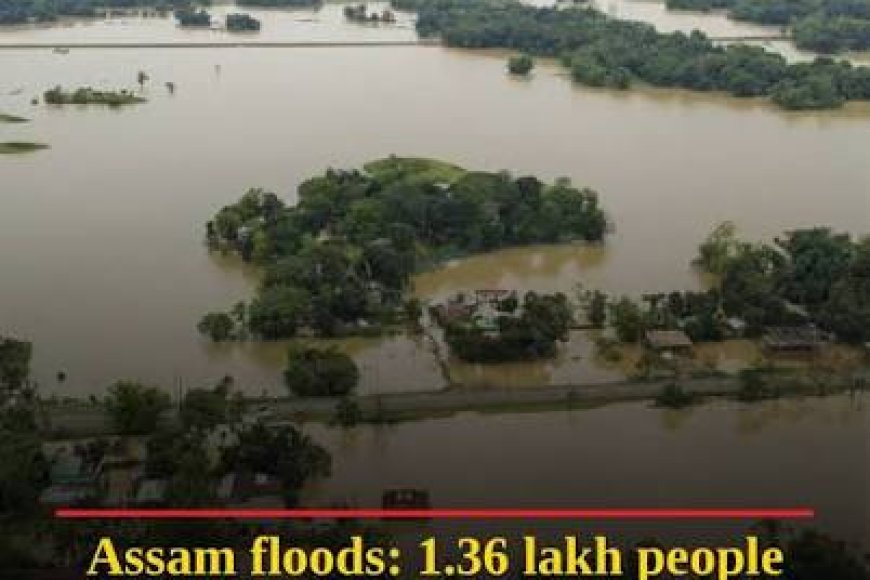 Assam Floods: Death Count Rises To 95, 14 Districts On High Alert