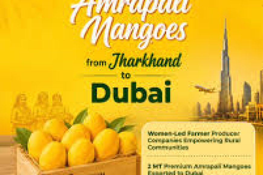 Amrapali mangoes make it to Dubai’s markets