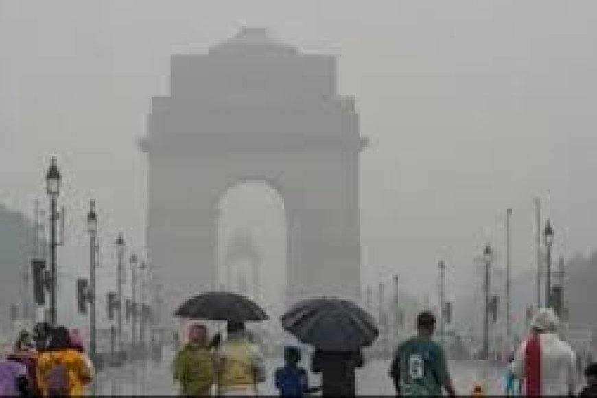 Rain brings relief to North India; Delhi sees coolest June 1 in 3 yrs