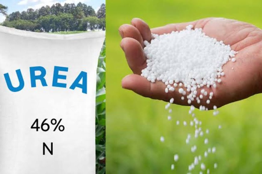 Not possible to allocate RFCL urea exclusively to Telangana: Centre