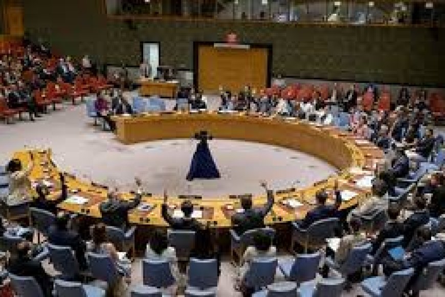 India to launch UNSC campaign for 2028-29 term at UN next week