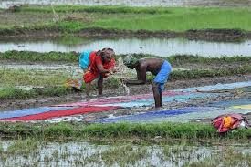 Telangana government invokes Varuna for bountiful rains, bumper harvest