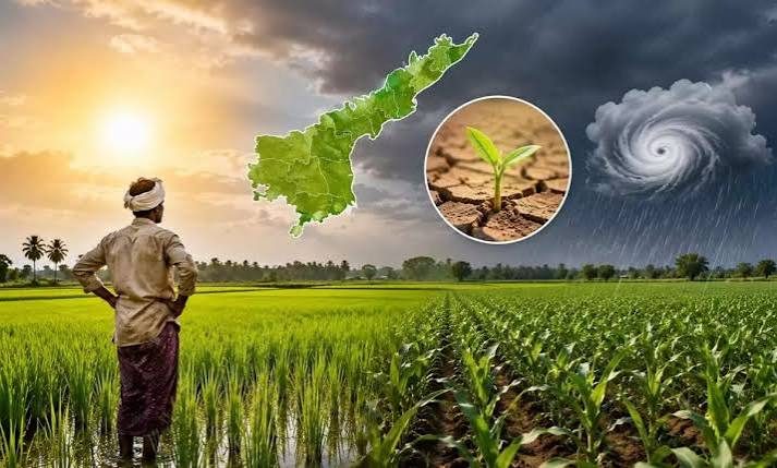 El Niño effect: Andhra government unveils plan to mitigate drought conditions