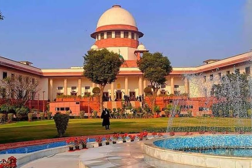 People abandon cattle, but object to using them for food: SC