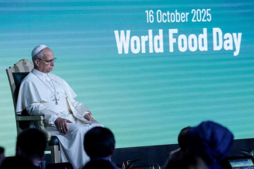 'Weapons move freely than food': Pope warns that bureaucracy is hindering global aid efforts