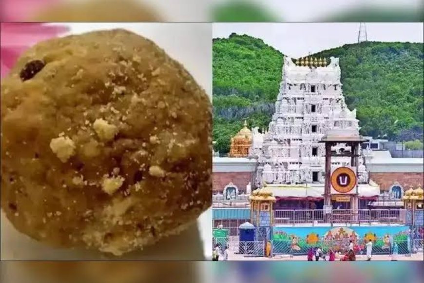 Tirumala Tirupati Devasthanams sells record 1.26 crore Srivari Laddus in June