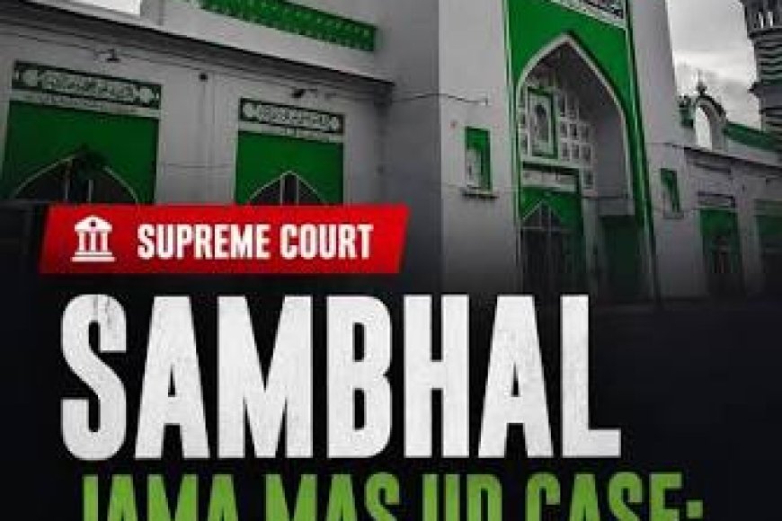 Sambhal violence 'pre-planned conspiracy': Judicial panel