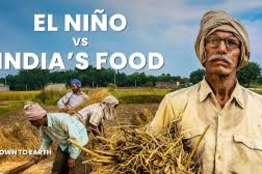 Focus on crop cultivation methods to mitigate El Nino: CM Naidu
