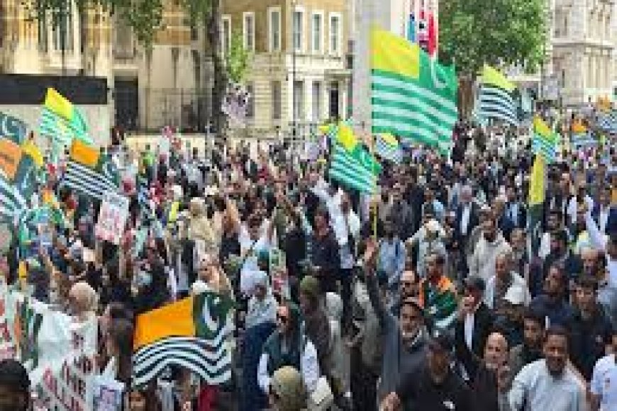 Why British Kashmiris Are Protesting Pakistani Forces In PoJK
