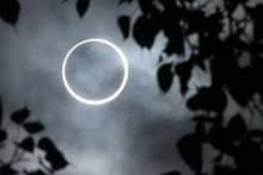 This New Zealand city will witness Total Solar Eclipse after 850 years; hotels book out two years in advance