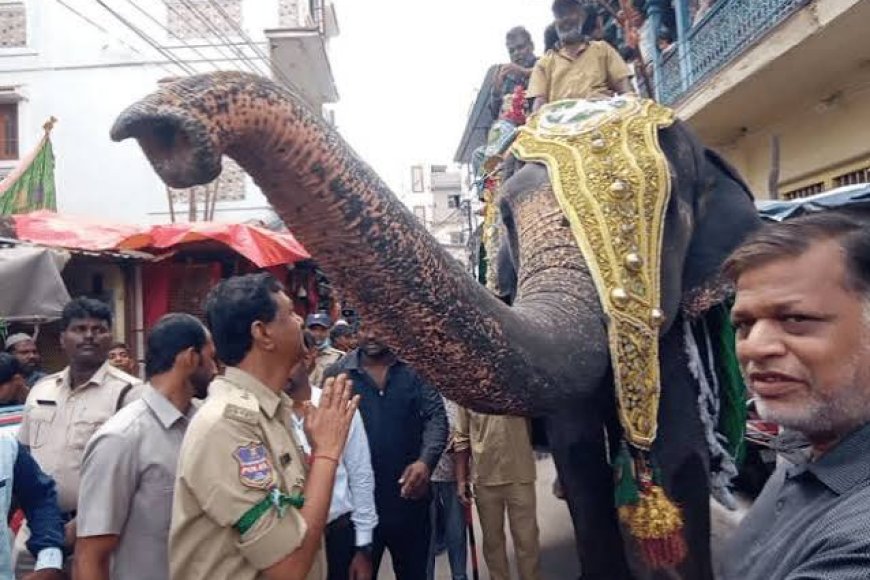 Hyderabad traffic curbs for elephant trial walk from Bibi-ka-Alawa