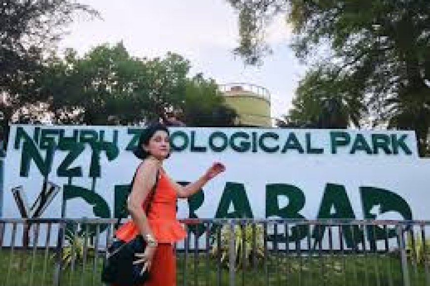 Over 24,000 visitors flock to Hyderabad Zoo on Sunday