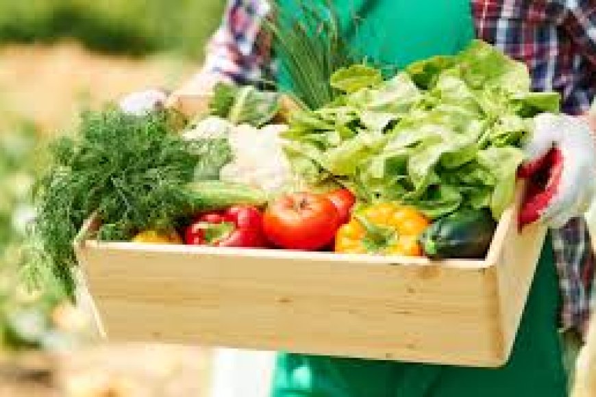 Savitha urges shift to organic diet 
