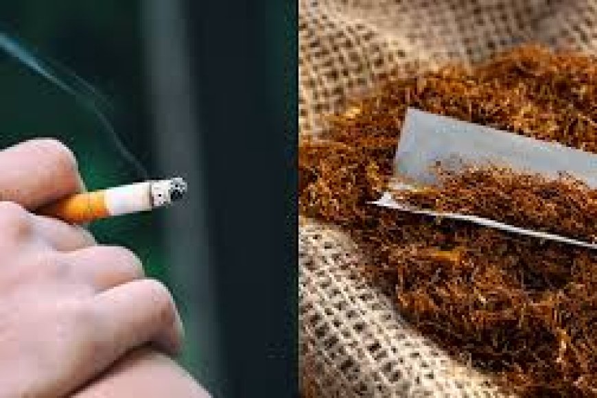 Breaking free from tobacco: Expert tips to quit and what happens when you do