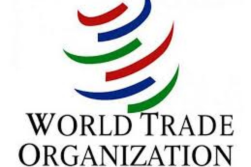WTO members question India's PLI scheme, tariffs and QCO regime