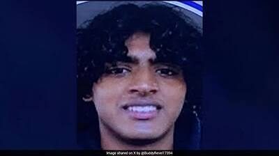 Indian-Origin Teen Murders Mother, Brother In US Home, 'ChatGPTed Fantasies About Killing Family'