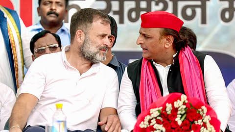 Rift over seat-sharing for 2027 UP elections? Akhilesh Yadav to skip crucial INDIA bloc meet