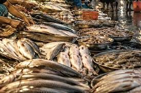 'Don't Eat Fish Caught From Floodwaters': Bihar On Alert After Nepal Tragedy
