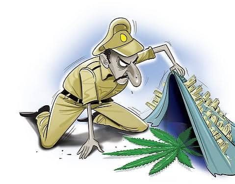 Andhra launches ‘Break the Silence’ campaign to combat ganja and drug abuse, protect informants