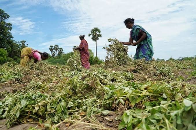 First ‘Female Farmer Worker Conference’ in Delhi to recognise women in agriculture