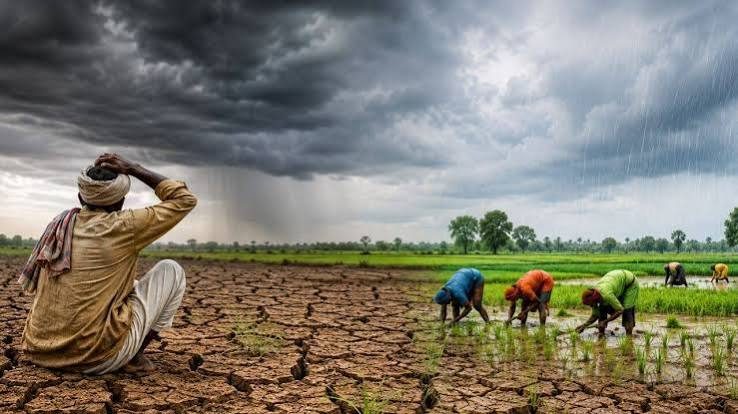 Nalgonda district driest in Telangana with 77% rainfall deficit