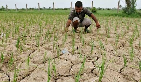 Assembly seeks Central aid over rainfall deficit