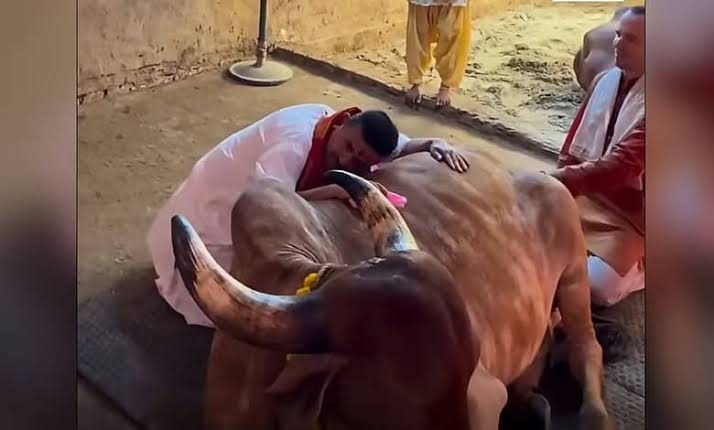 3 months after BJP govt’s curb, Bengal’s beef trade collapses