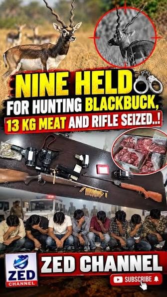 Hyderabad: Nine held for blackbuck hunting, meat transport