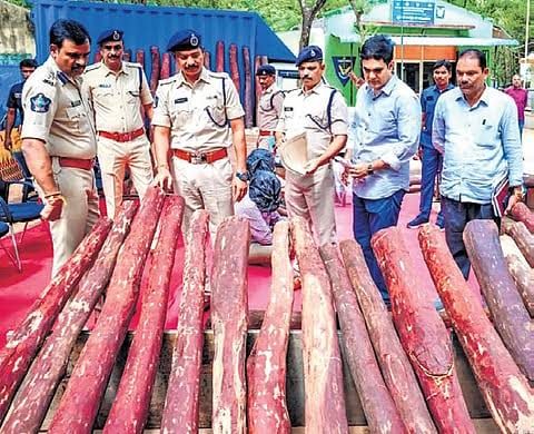 90 red sanders logs seized in Kadapa