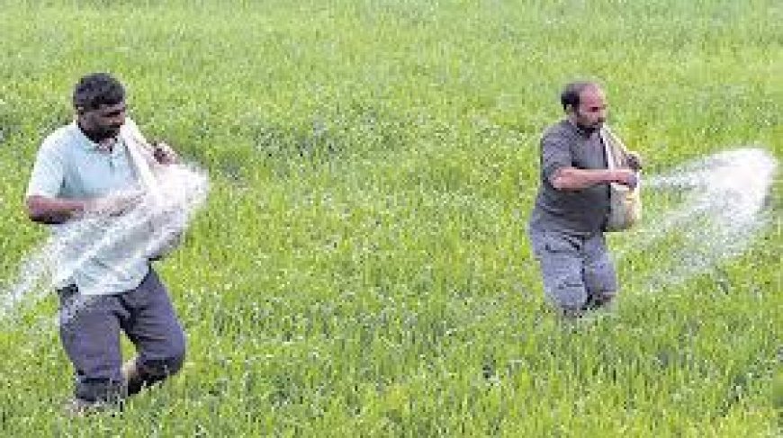 Vigil stepped up on sale of fertiliser, seeds ahead of Kharif